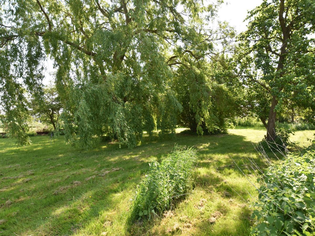 Spacious Holiday Home In Hornstorf With Trampoline 외부 사진
